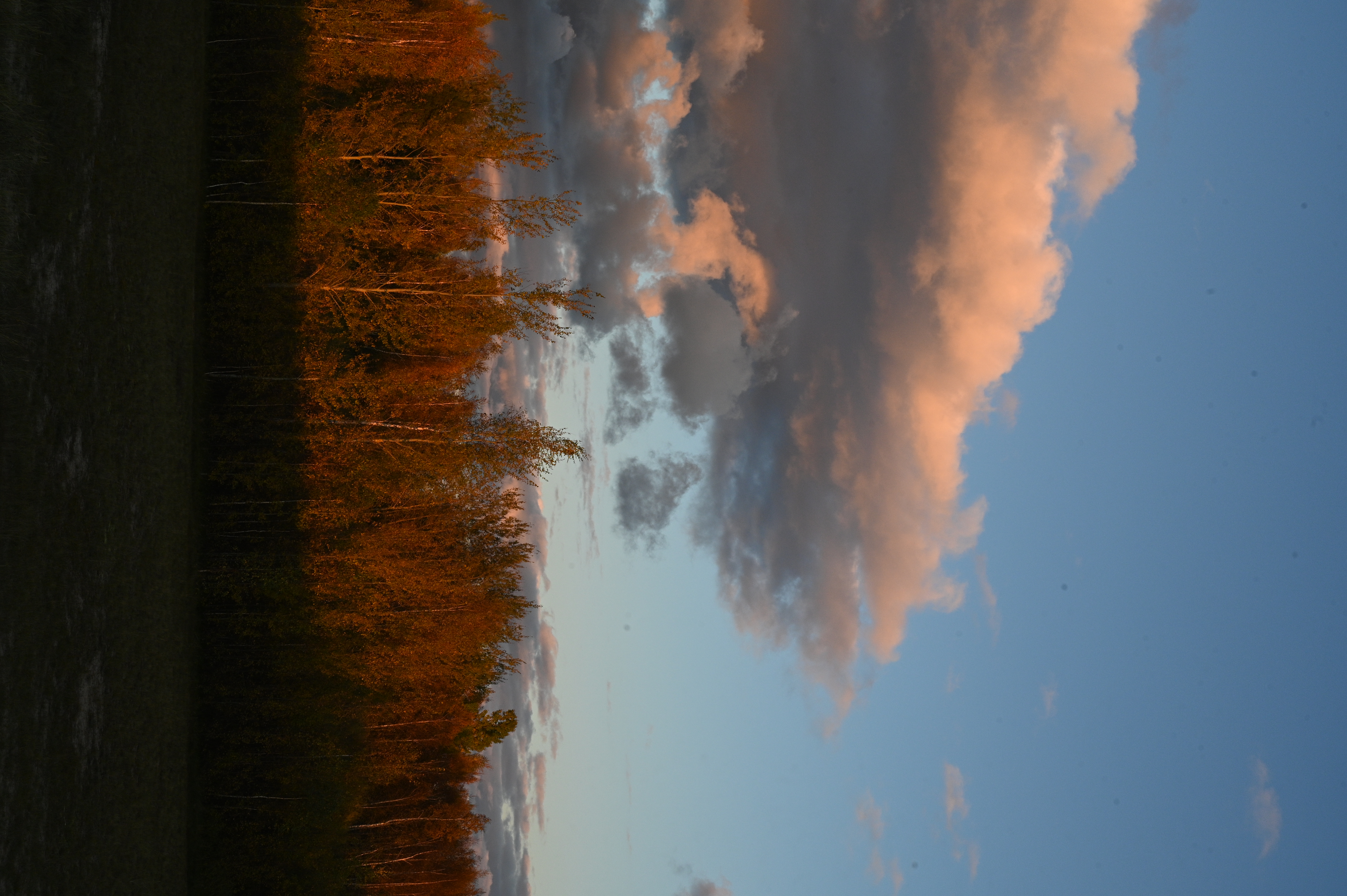 2025/10/18 - walk/DSC_0409.JPG